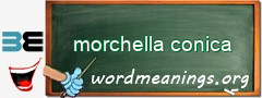 WordMeaning blackboard for morchella conica